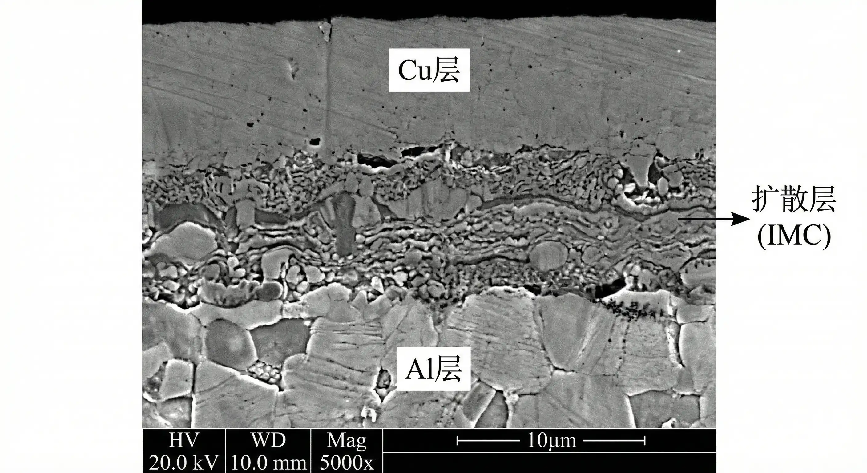 SEM image clearly showing diffusion layer and microstructure at copper-clad aluminum interface